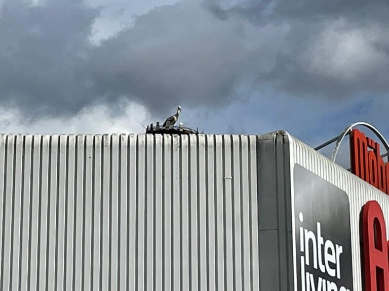 170729755_3362117603889320_4339938962184365581_n-2