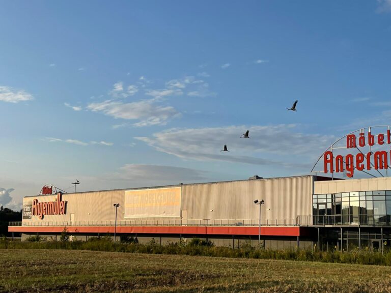 236058343_3697524083682002_2019211055228757484_n-2