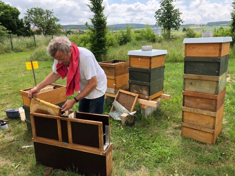 340cccd8-297d-4895-b853-af902f47c177