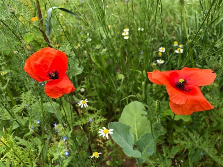 5dfd06eb-910e-4c22-b82d-597c50b7f14d