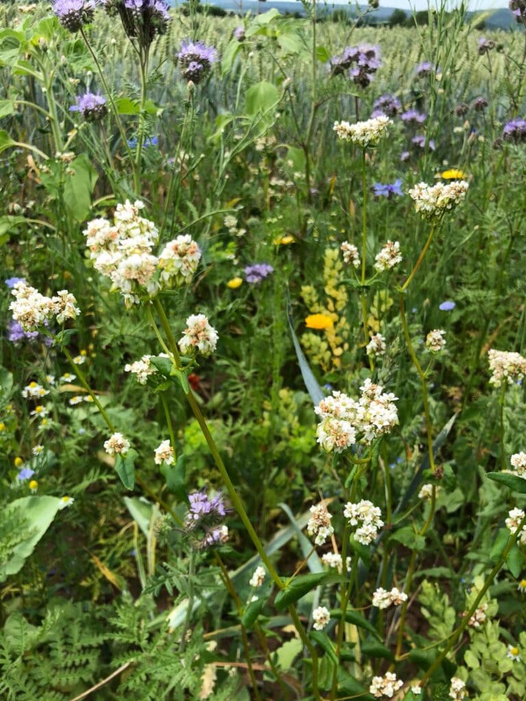 730c7ae8-e3c2-44a3-a51f-56a302b821c3