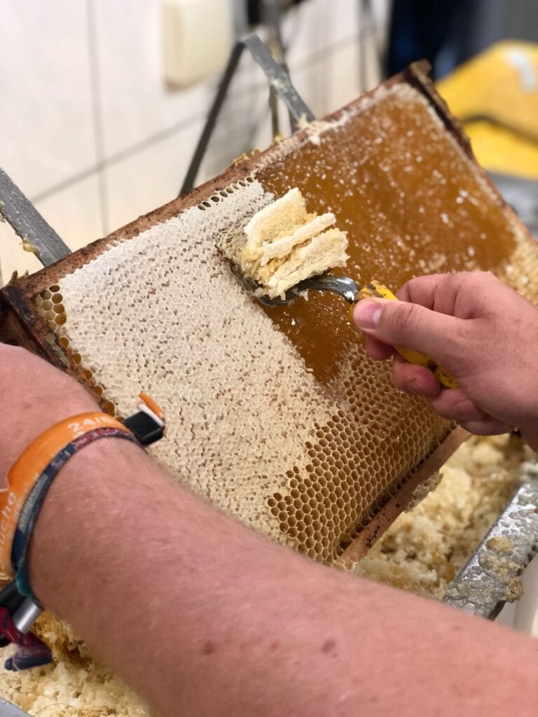 84d56c68-073f-4a02-ad06-9f342d280bba