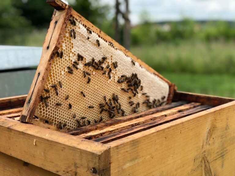 9bba1e35-a49e-4fc7-abdb-1684ee32aa79